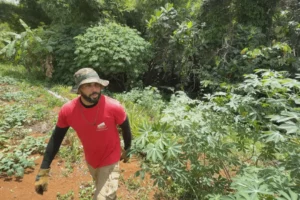 sweet-om-article-guadeloupela1ere