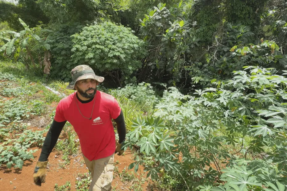 sweet-om-article-guadeloupela1ere