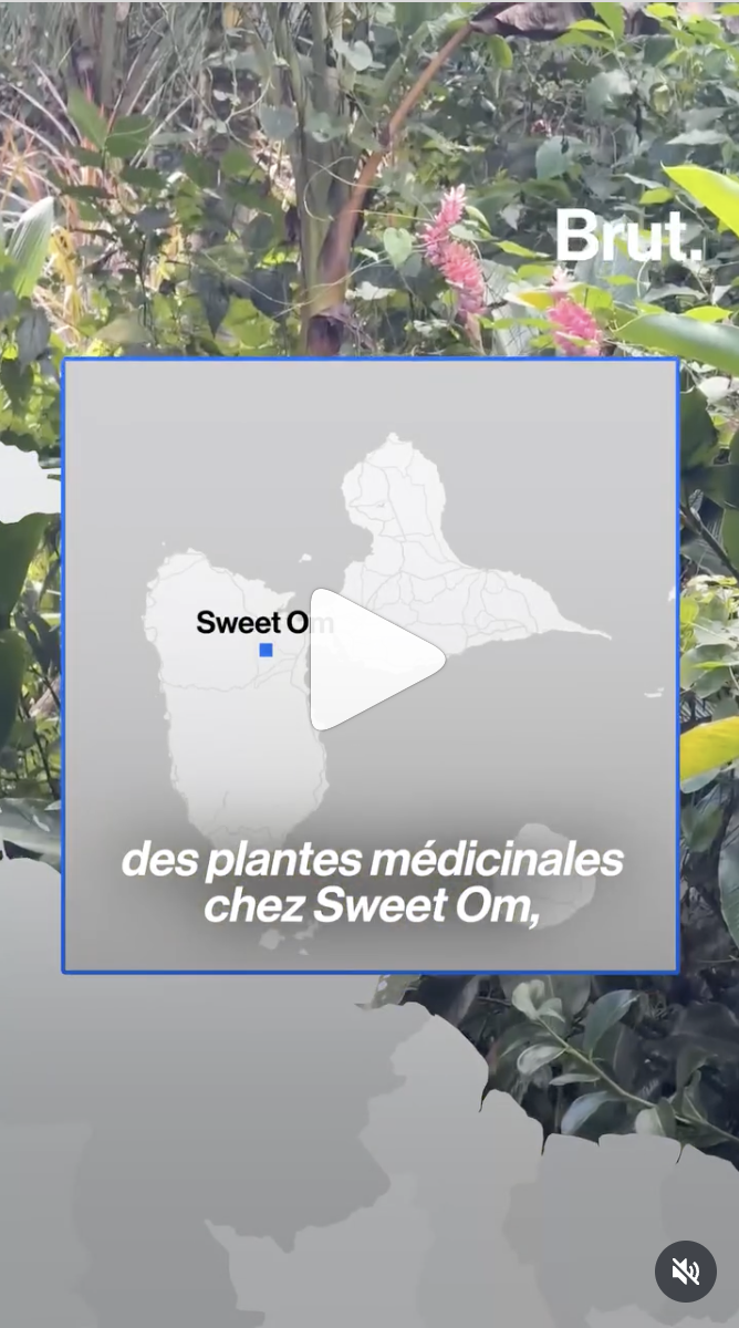 Elle, c’est Suzie, une biochimiste et restauratrice guadeloupéenne spécialisée en science des aliments et en plantes médicinales. 