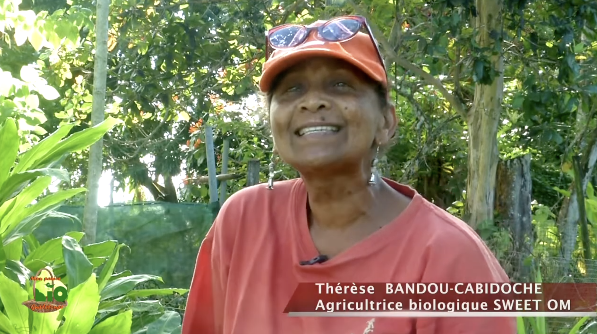  Fruits et légumes d'antan N°3 Zèb a Fè MASTER , présenté par le Png et Mon panier BIO