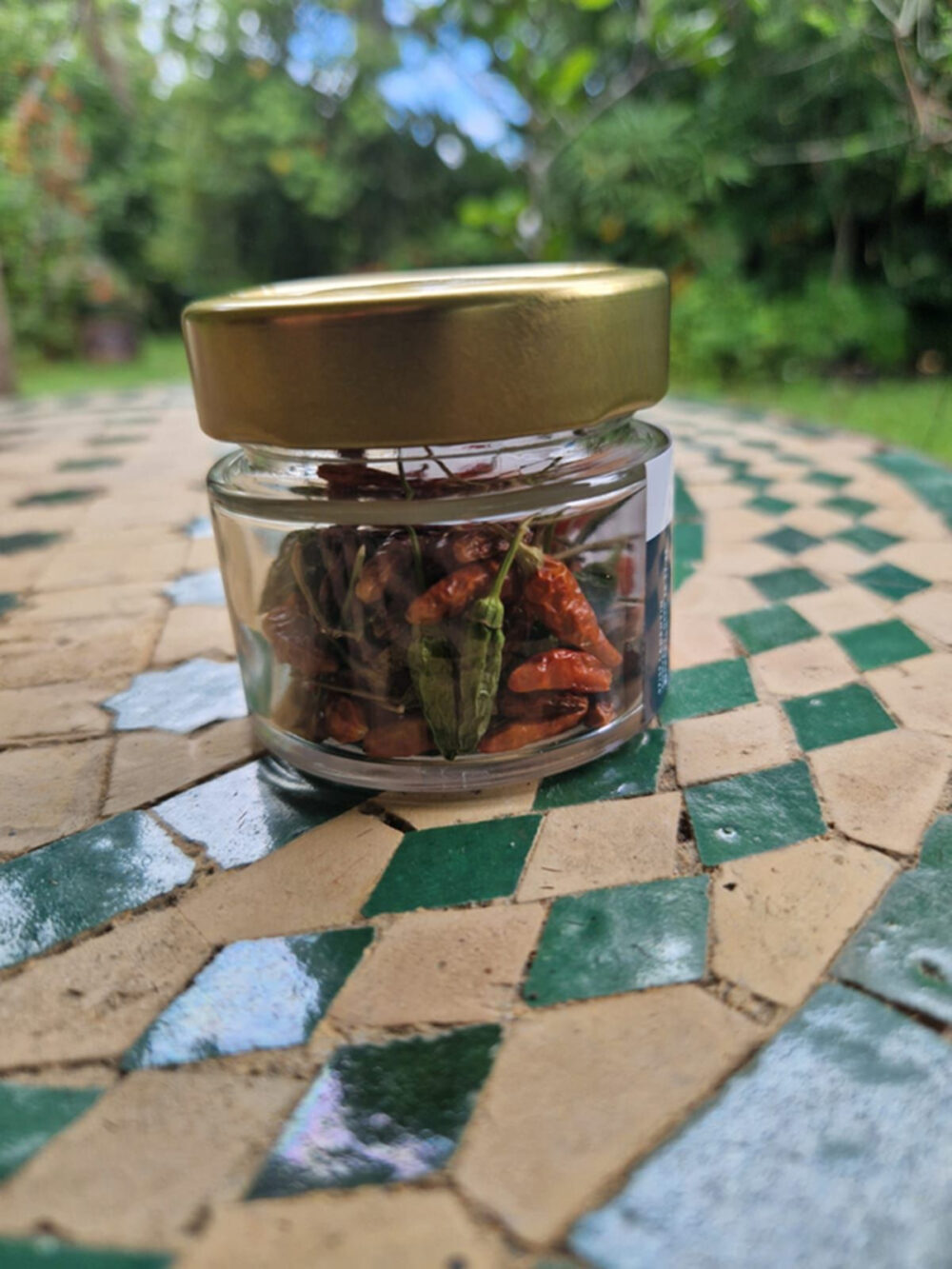 Piment d'oiseau bio BIO